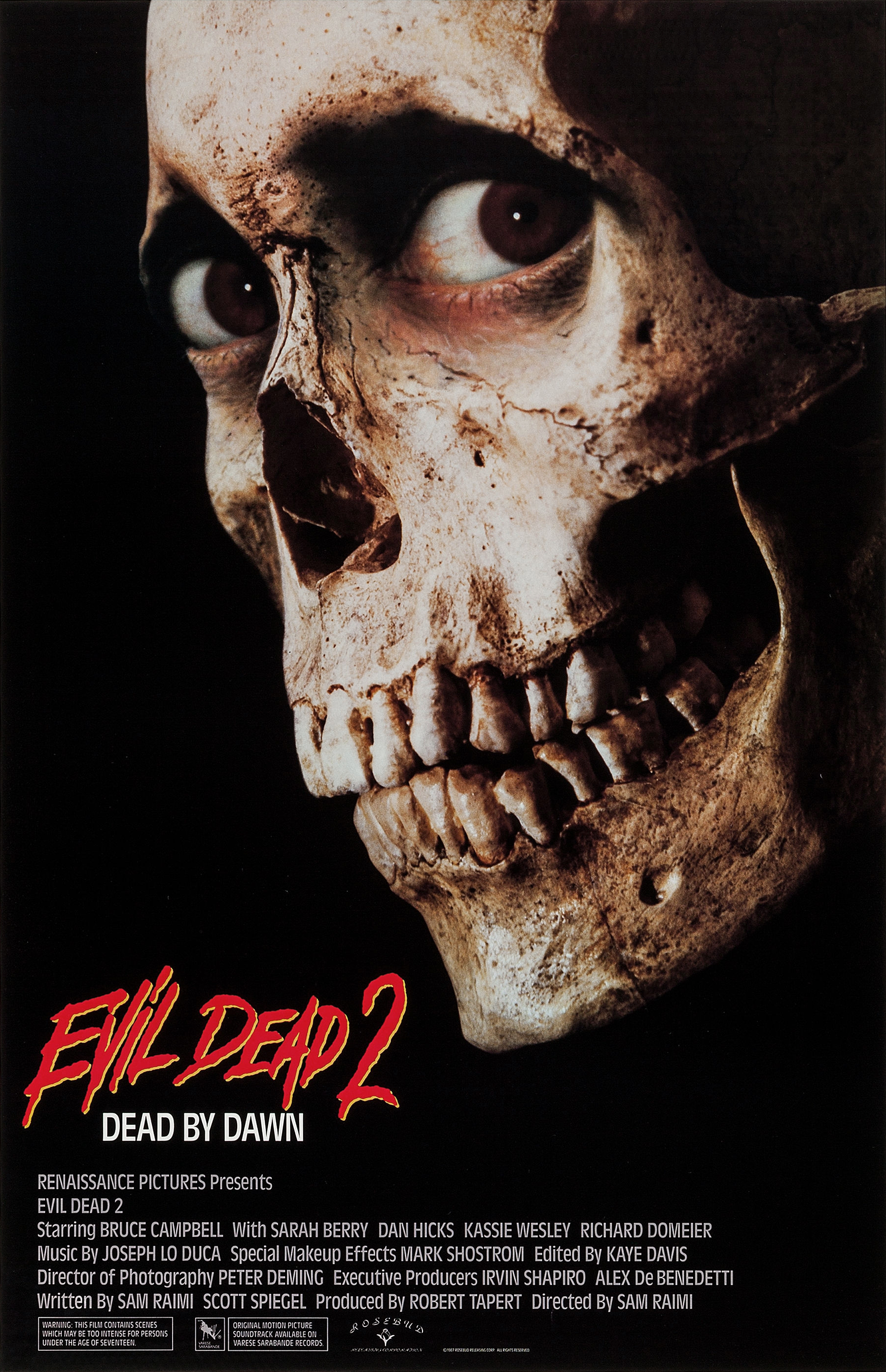 MLSBD.COM - MOVIE LINK STORE BD