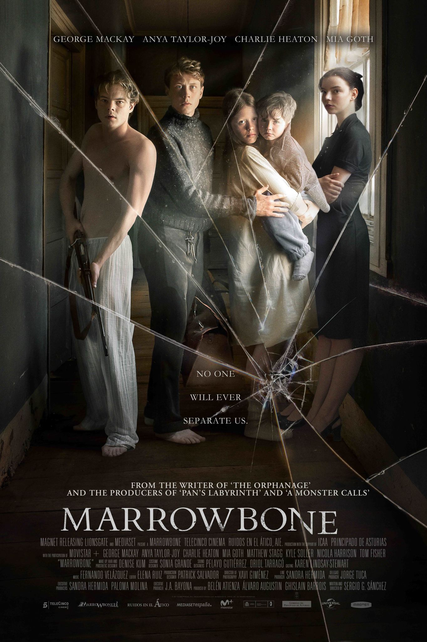 MLSBD.COM - MOVIE LINK STORE BD