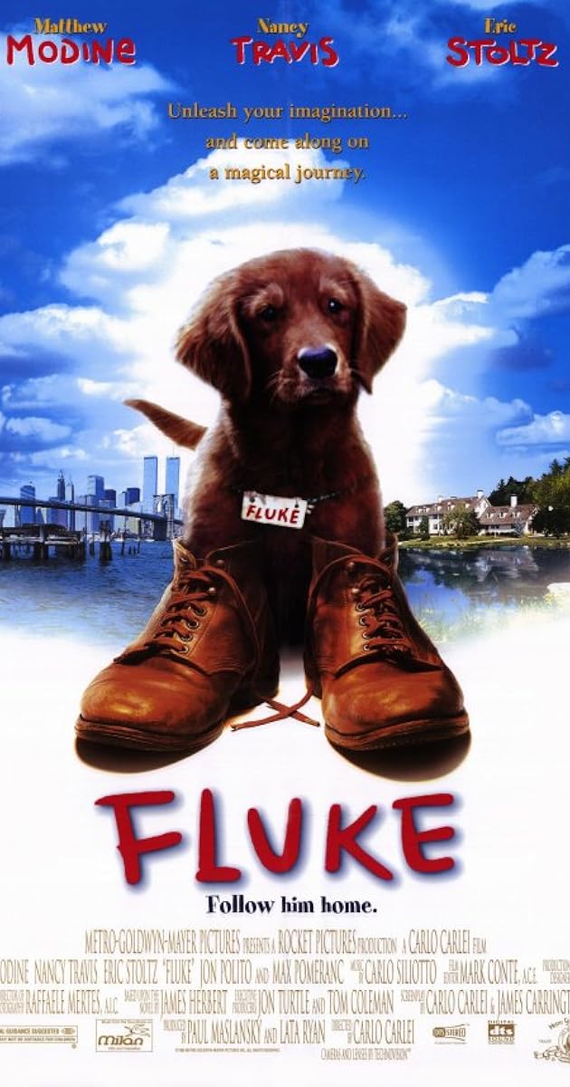 Fluke (1995) - IMDb
