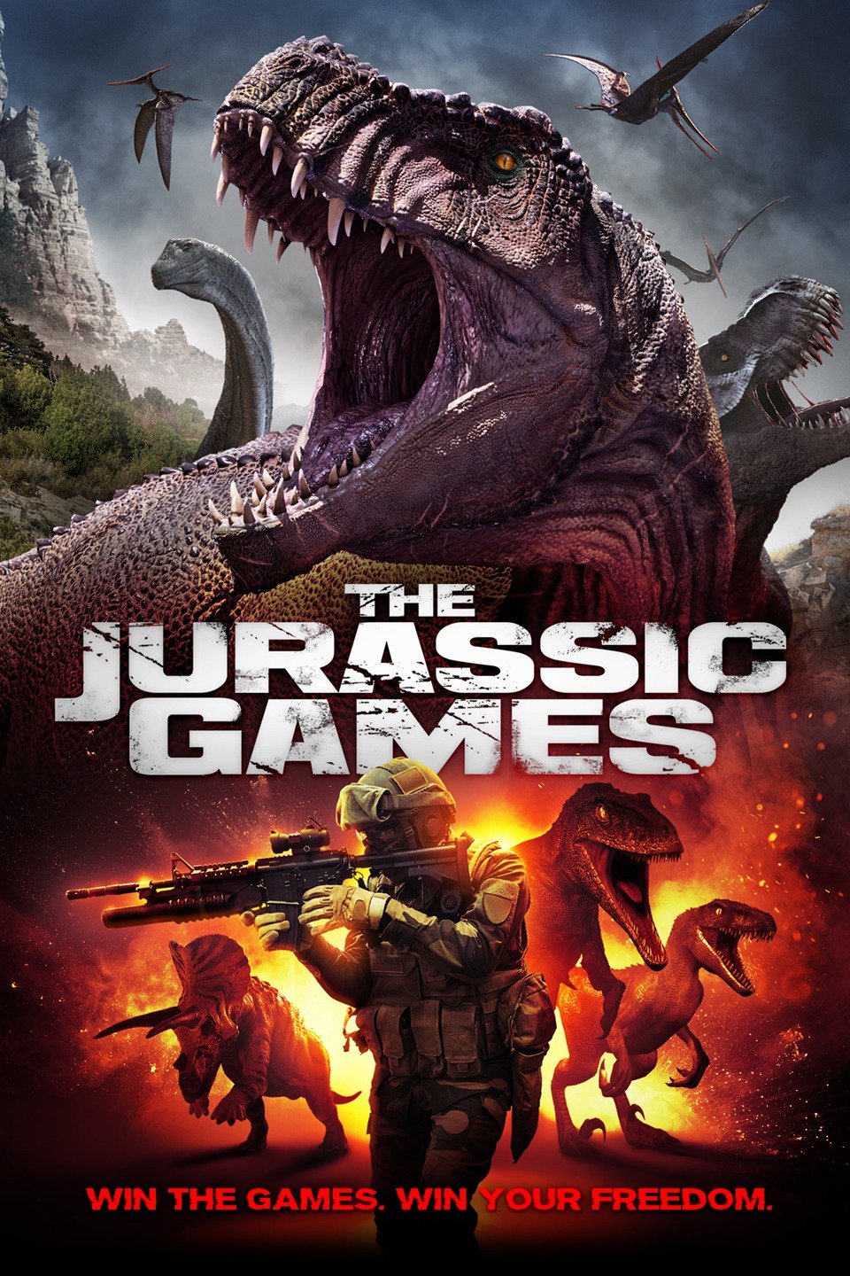 MLSBD.COM - MOVIE LINK STORE BD